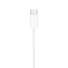 Apple EarPods (USB-C) - Blanc