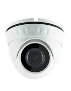 Camera de surveillance